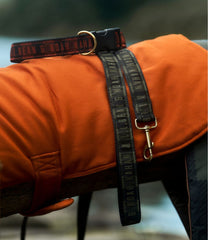 L.L.Bean & Noah Kahan Novelty Dog Collar | L.L.Bean sale
