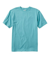 Men's Carefree Unshrinkable Tee, Traditional Fit Short-Sleeve | L.L.Bean discount