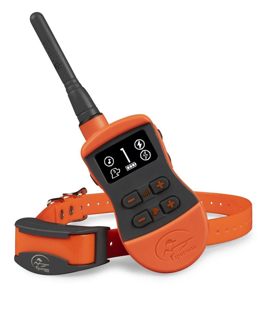 SportDOG Brand Sport Trainer 875 | L.L.Bean online