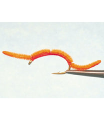 San Juan Worm, 2-Pack | L.L.Bean sale