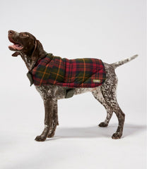 Reversible Field Coat for Dogs | L.L.Bean online