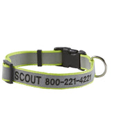 Personalized Pet Collar, Reflective | L.L.Bean sale