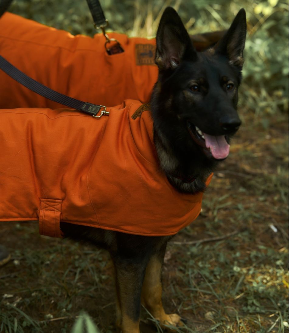 L.L.Bean & Noah Kahan Reversible Field Coat for Dogs | L.L.Bean on sale