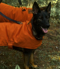 L.L.Bean & Noah Kahan Reversible Field Coat for Dogs | L.L.Bean on sale
