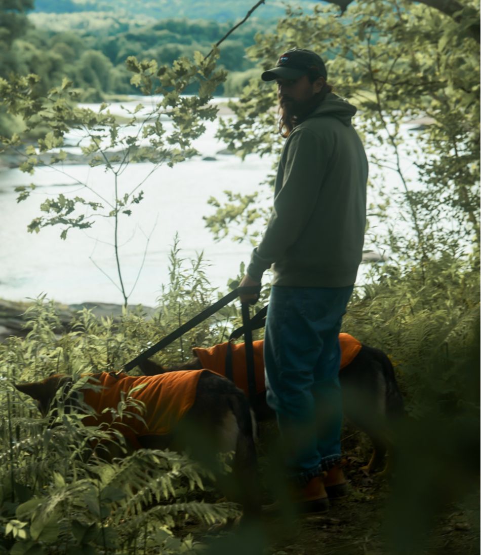 L.L.Bean & Noah Kahan Reversible Field Coat for Dogs | L.L.Bean on sale