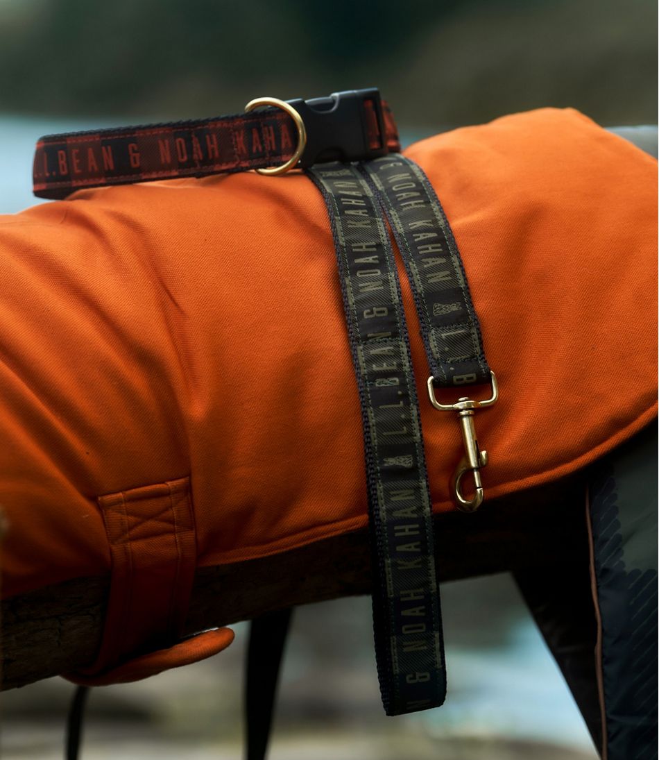 L.L.Bean & Noah Kahan Reversible Field Coat for Dogs | L.L.Bean on sale
