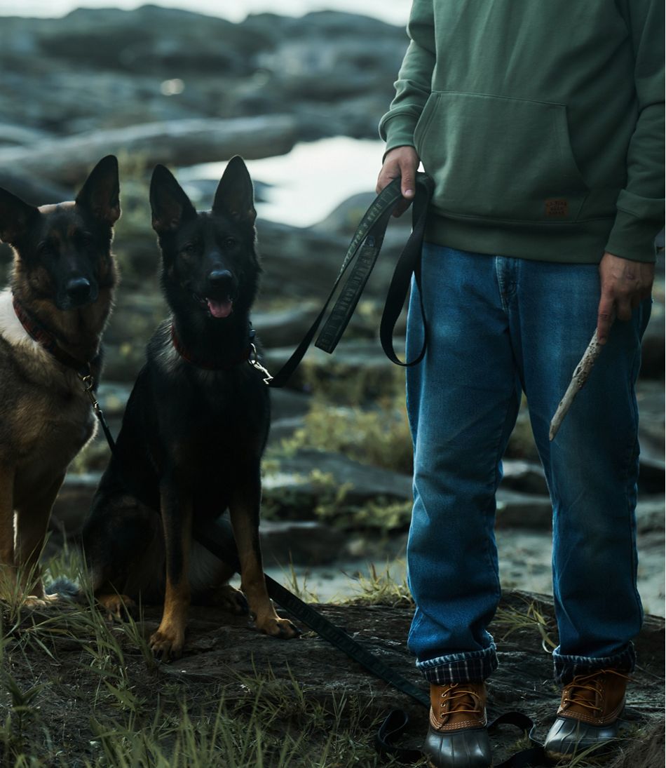 L.L.Bean & Noah Kahan Novelty Dog Leash | L.L.Bean discount