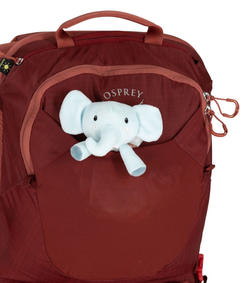 Osprey Poco LT Child Carrier Backpack | L.L.Bean outlet