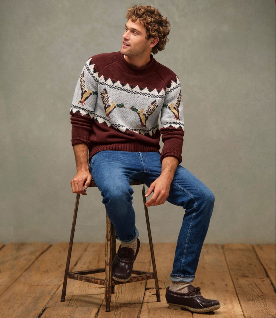 Men's Signature Organic Cotton Rollneck Sweater, Fair Isle | L.L.Bean online