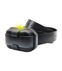 Dogtra 280-X Remote Dog Training Collar | L.L.Bean sale