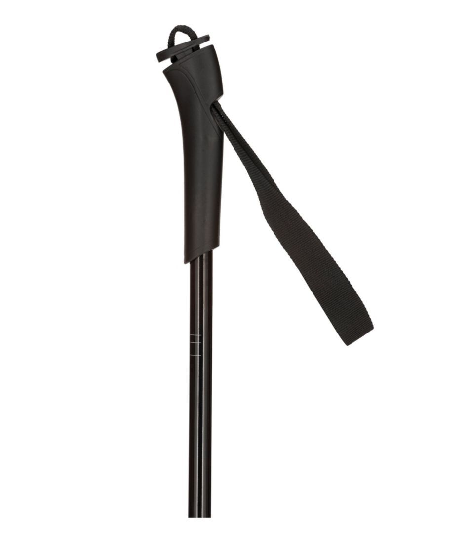 Rossignol FT500 Cross-Country Touring Ski Poles | L.L.Bean discount