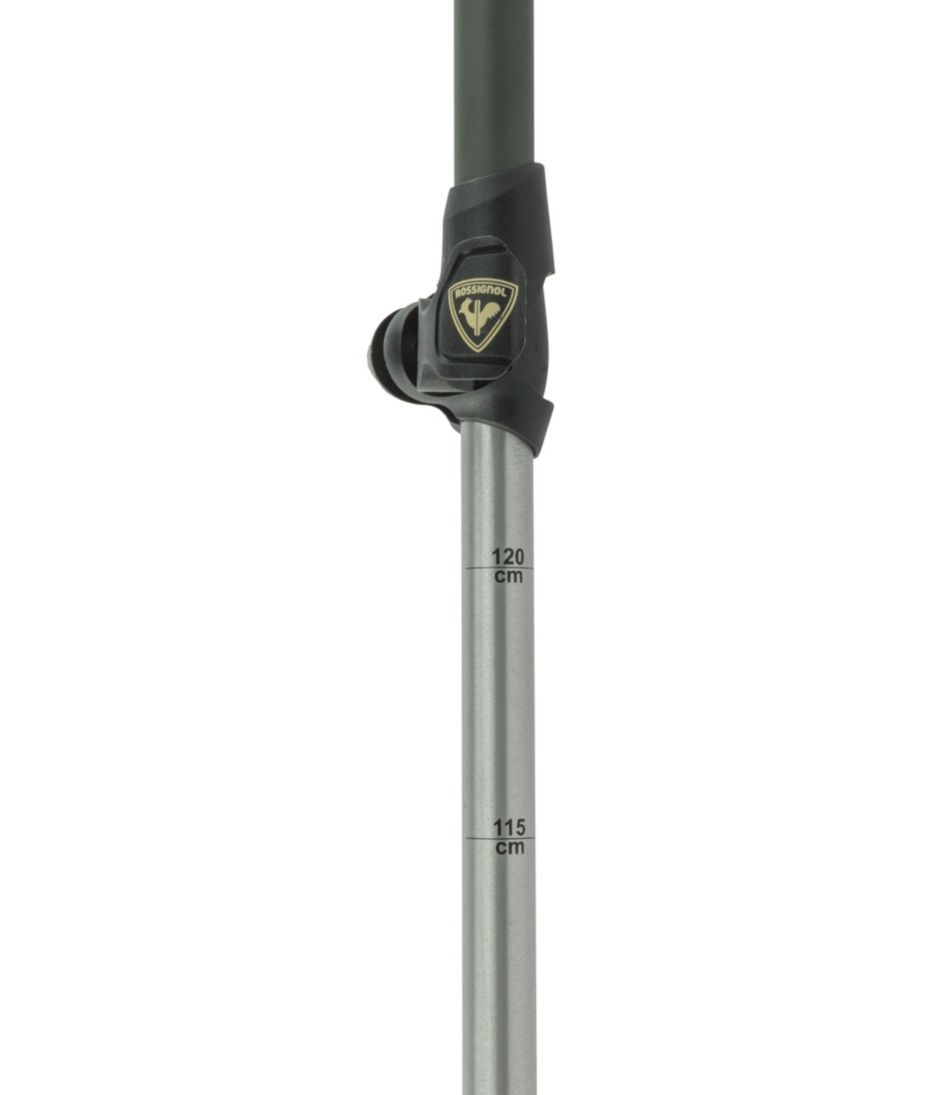 Rossignol BC 100 Backcountry Ski Poles | L.L.Bean for sale