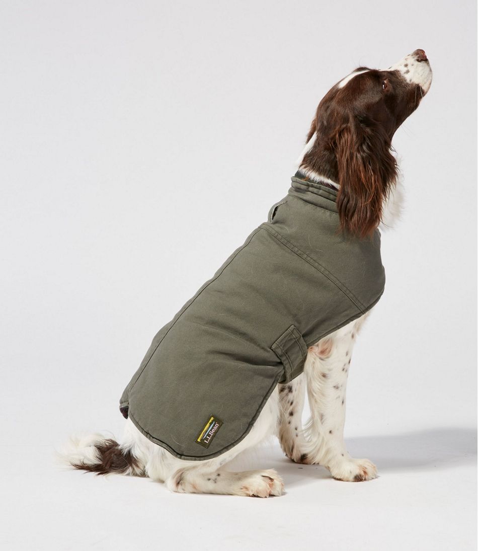 Reversible Field Coat for Dogs | L.L.Bean online