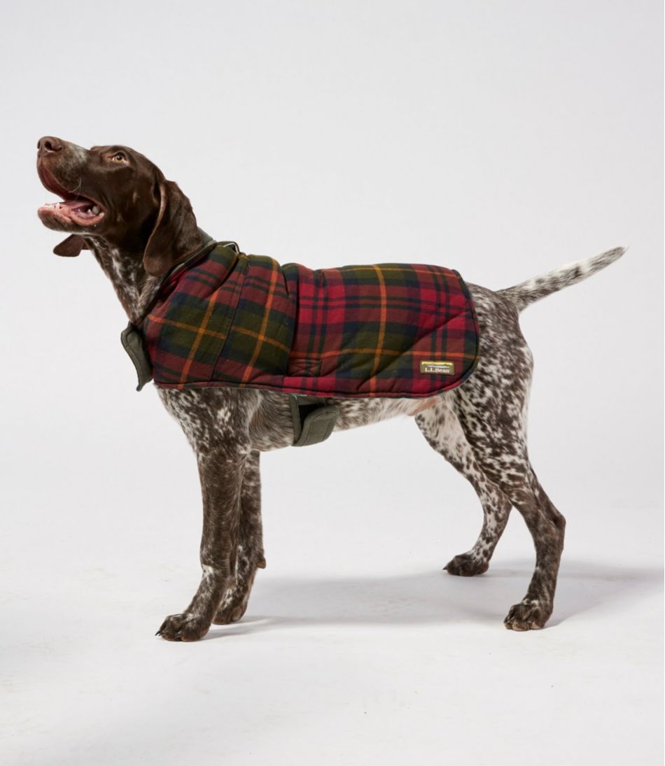 Reversible Field Coat for Dogs | L.L.Bean online