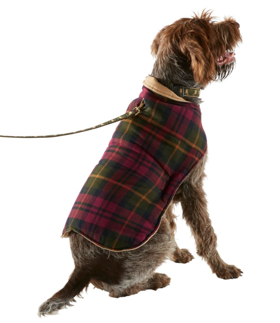 Reversible Field Coat for Dogs | L.L.Bean online