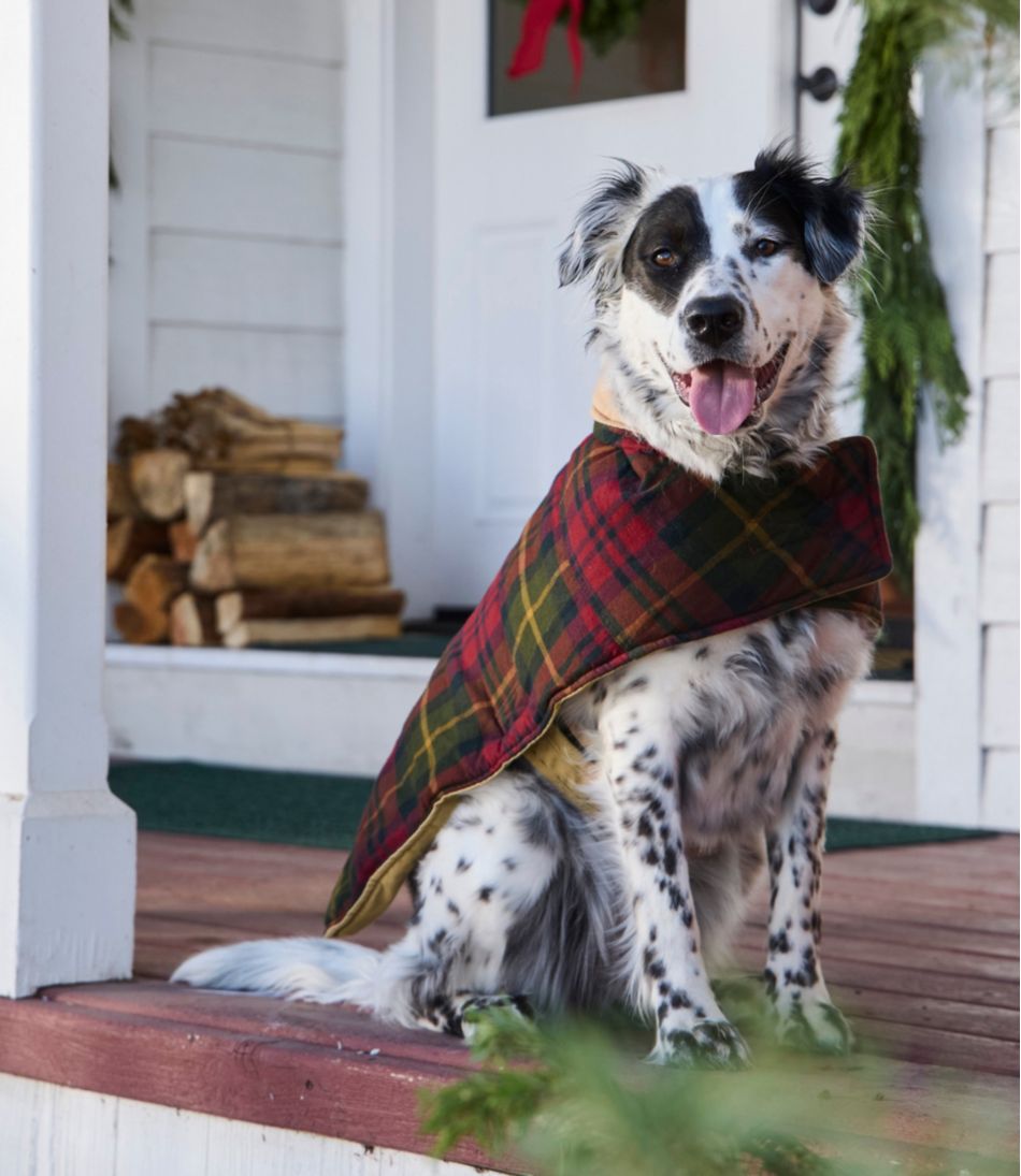 Reversible Field Coat for Dogs | L.L.Bean online