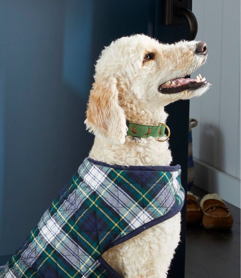 Novelty Dog Collar | L.L.Bean discount