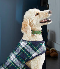 Novelty Dog Collar | L.L.Bean discount