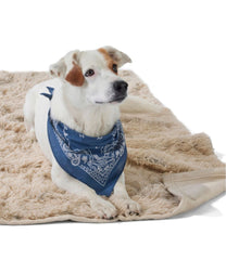 Plush Cuddler Dog Blanket | L.L.Bean outlet