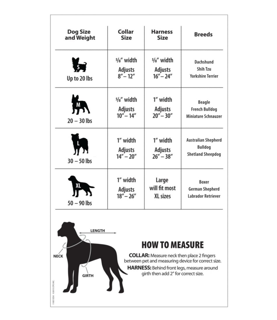 Personalized Pet Collar, Reflective | L.L.Bean sale