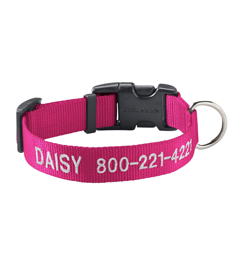 Personalized Pet Collar | L.L.Bean outlet