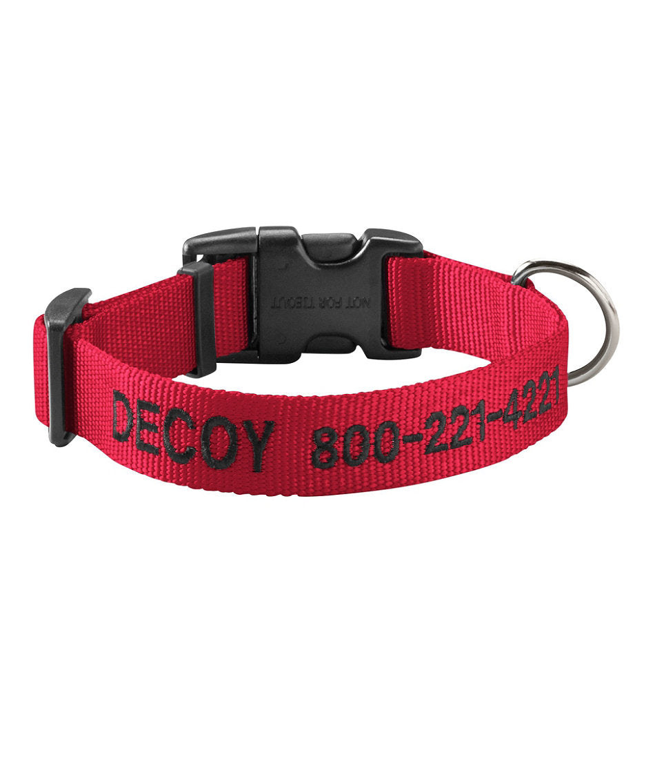 Personalized Pet Collar | L.L.Bean outlet