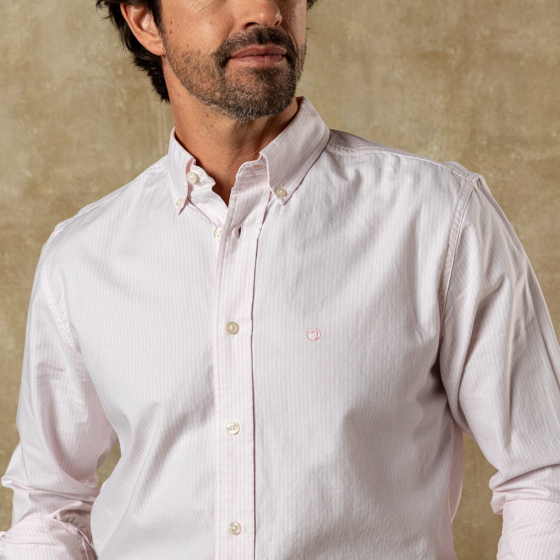 Duck Head Cotton Oxford Sport Shirt - Collins Stripe - Pale Pink